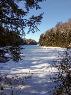 A969F570-60DD-4D85-A9D6-FB6CD23AC9C0.jpeg A969F570-60DD-4D85-A9D6-FB6CD23AC9C0.jpeg