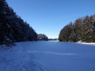 D9EDA796-820F-4967-BF51-BA2A113E15D5.jpeg D9EDA796-820F-4967-BF51-BA2A113E15D5.jpeg