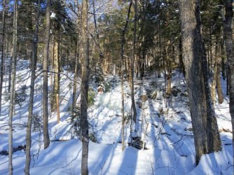 4AF124F7-2A40-4240-BFD6-A5B0F662A401.jpeg 4AF124F7-2A40-4240-BFD6-A5B0F662A401.jpeg