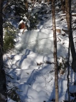 ACFDA30B-A115-4991-AAE9-834C11EBDCCE.jpeg ACFDA30B-A115-4991-AAE9-834C11EBDCCE.jpeg