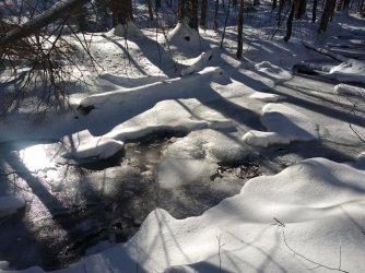 39B66222-CD1B-4028-9E23-35663BE29508.jpeg 39B66222-CD1B-4028-9E23-35663BE29508.jpeg