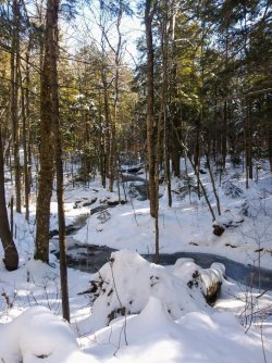 1976F1AC-C07F-465F-A195-E083A07600FA.jpeg 1976F1AC-C07F-465F-A195-E083A07600FA.jpeg