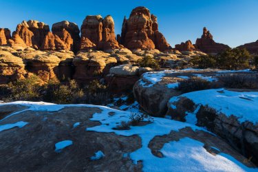 RCM04896-Frosty Needles 1-2021-210110-66.jpg