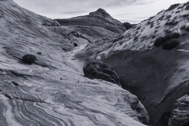 RCM00479- 11-2020-201120-139.jpg