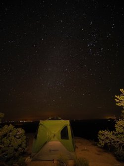 October 24 Orion- morningjpeg.jpeg