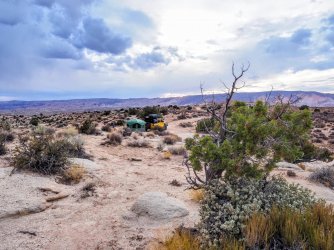 November 6, 2020 early evening.jpeg