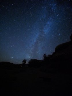 November 11,2020 evening.jpeg