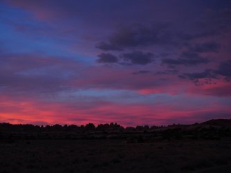 November 18, 2020 morn.jpeg