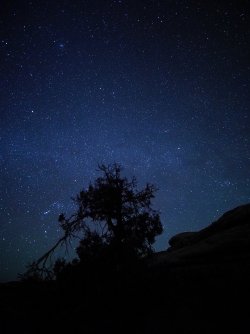 November 19, 2020 morning.jpeg