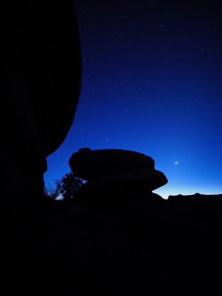 November 19, 2020 morn.jpeg