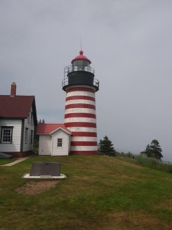 247E76A3-94EA-4F15-A506-1A84EC972E1B.jpeg 247E76A3-94EA-4F15-A506-1A84EC972E1B.jpeg