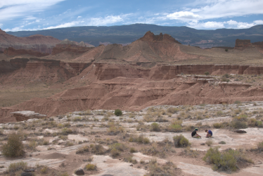 Screenshot from 2021-02-11 20-02-48.png