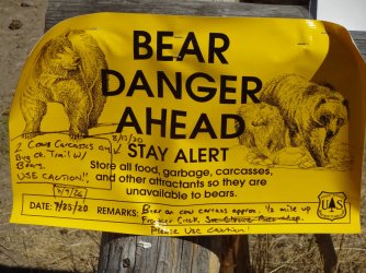 DSC00367_Large.JPG DSC00367_Large.JPG