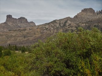 DSC00374_Large.JPG DSC00374_Large.JPG