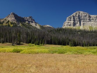 DSC00398_Large.JPG DSC00398_Large.JPG