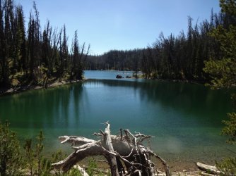 DSC00407_Large.JPG DSC00407_Large.JPG