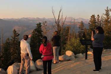 IMG_3429_Large.JPG IMG_3429_Large.JPG