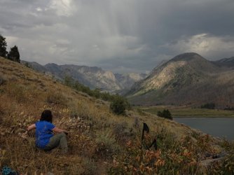 DSC00439_Large.JPG DSC00439_Large.JPG