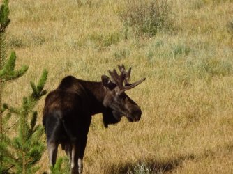 DSC00467_Large.JPG DSC00467_Large.JPG