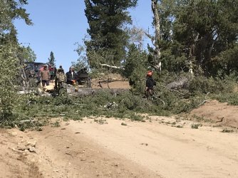 036_Large.JPG 036_Large.JPG