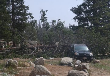 IMG_3634_Large.JPG IMG_3634_Large.JPG