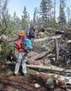 IMG_3647_Large.JPG IMG_3647_Large.JPG