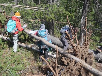 IMG_3662_Large.JPG IMG_3662_Large.JPG