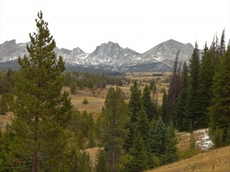 DSC00474_Large.JPG DSC00474_Large.JPG