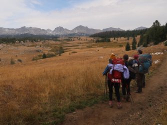 IMG_3787_Large.JPG IMG_3787_Large.JPG