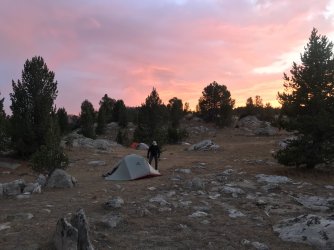 100_Large.JPG 100_Large.JPG