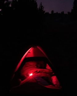 IMG_3859 (2)_Large.JPG