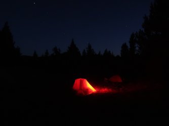 IMG_3985_Large.JPG IMG_3985_Large.JPG