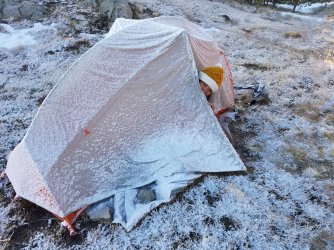 20200911_075534_Large.jpg 20200911_075534_Large.jpg