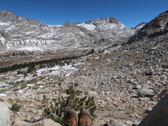 IMG_3961_Large.JPG IMG_3961_Large.JPG