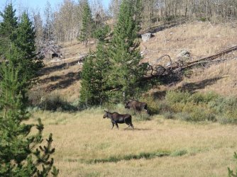 IMG_3776_Large.JPG IMG_3776_Large.JPG