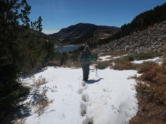 IMG_3964_Large.JPG IMG_3964_Large.JPG