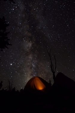 IMG_2985_Large.JPG IMG_2985_Large.JPG