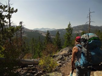 DSC00519_Large.JPG DSC00519_Large.JPG