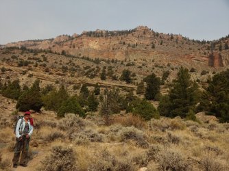 DSC00557_Large.JPG DSC00557_Large.JPG