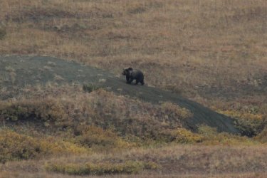 IMG_3495_Large.JPG IMG_3495_Large.JPG