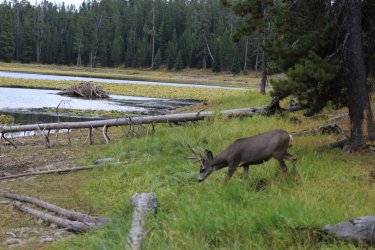 IMG_3569_Large.JPG IMG_3569_Large.JPG