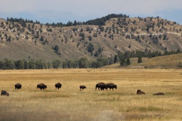 IMG_3353_Large.JPG IMG_3353_Large.JPG