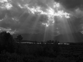 DSC00584_Large.JPG DSC00584_Large.JPG