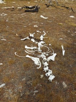 DSC00604_Large.JPG DSC00604_Large.JPG