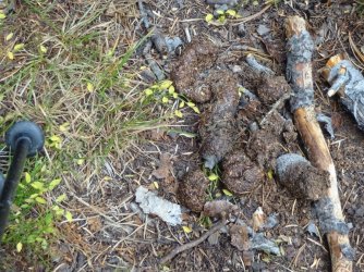 DSC00623_Large.JPG DSC00623_Large.JPG