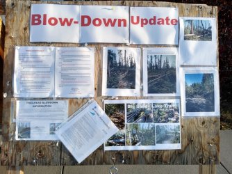 IMG_20200927_081133414_HDR_Large.jpg IMG_20200927_081133414_HDR_Large.jpg