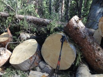 DSC00668_Large.JPG DSC00668_Large.JPG