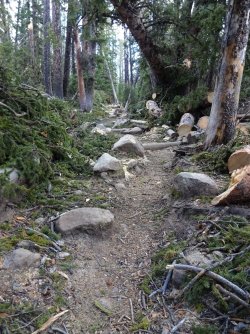 DSC00671_Large.JPG DSC00671_Large.JPG