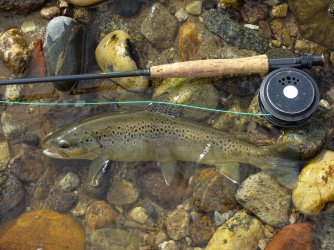 DSC00631_Large.JPG DSC00631_Large.JPG