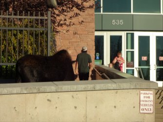 DSC00717_Large.JPG DSC00717_Large.JPG